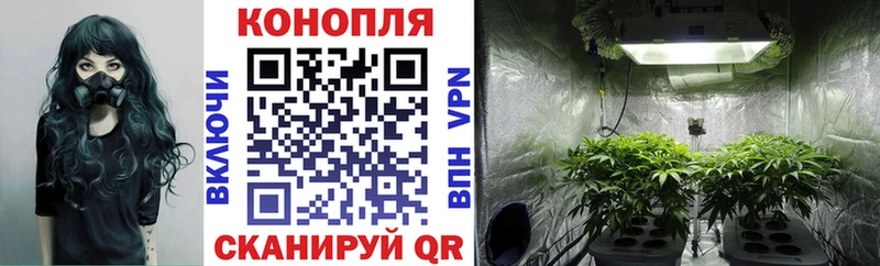 Конопля план Дубовка